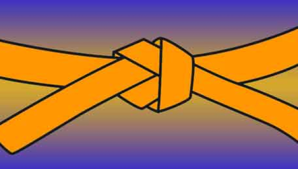 Rok Kyu/Orange Belt