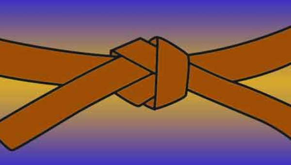 San Kyu/Brown Belt 3rd°