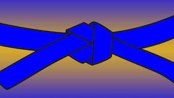 Go Kyu/Blue Belt