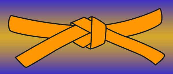 Rok Kyu/Orange Belt