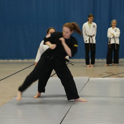 2015 Brown Belt Testing 17