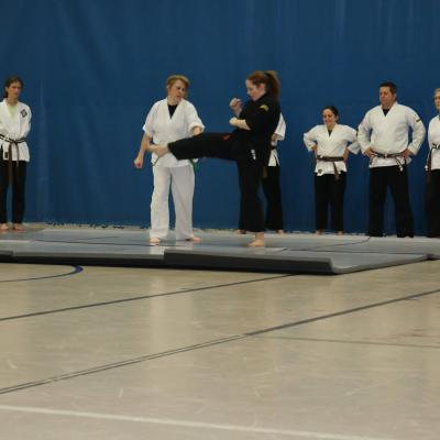 2015 Brown Belt Testing 5