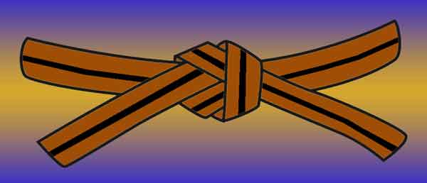 Ni Kyu/Brown Belt 2nd°