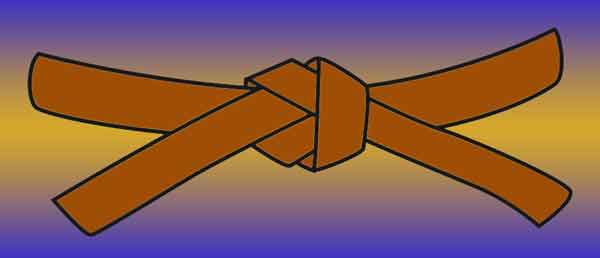 San Kyu/Brown Belt 3rd°