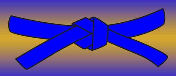 Go Kyu/Blue Belt