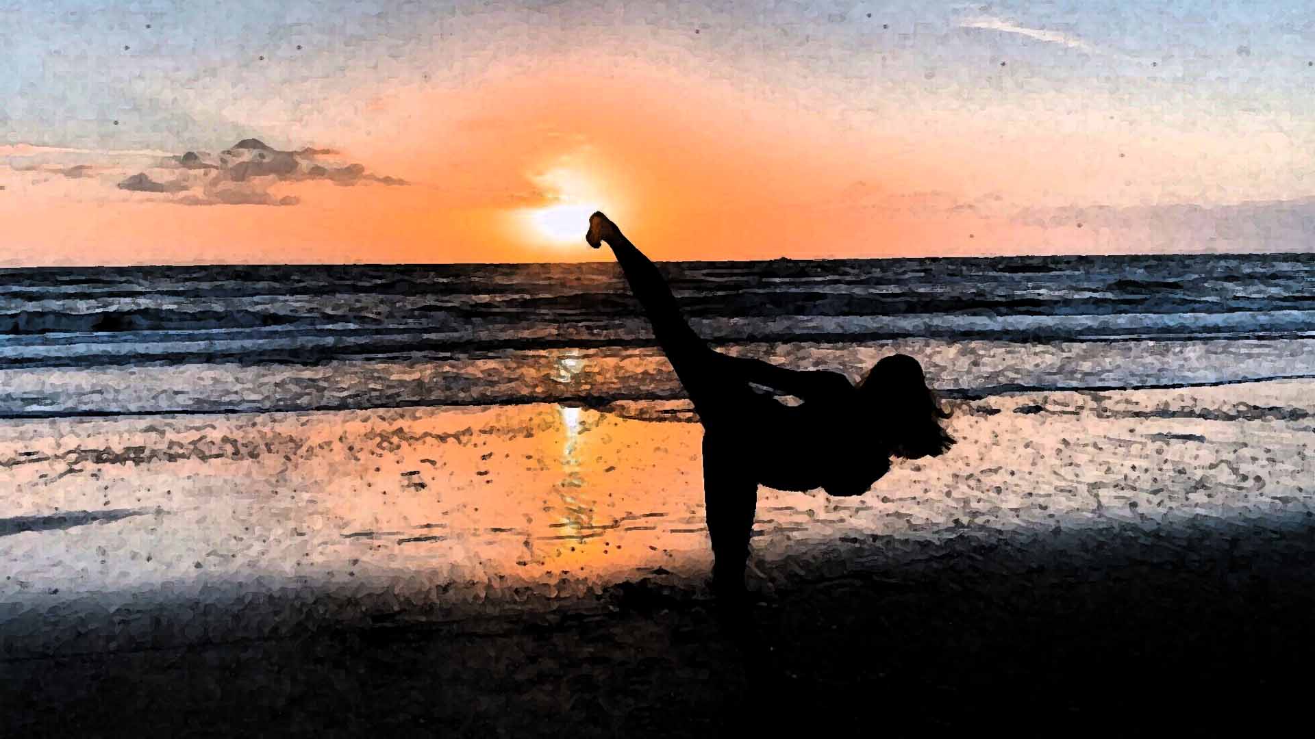 GEMA Virtual Dojo Online