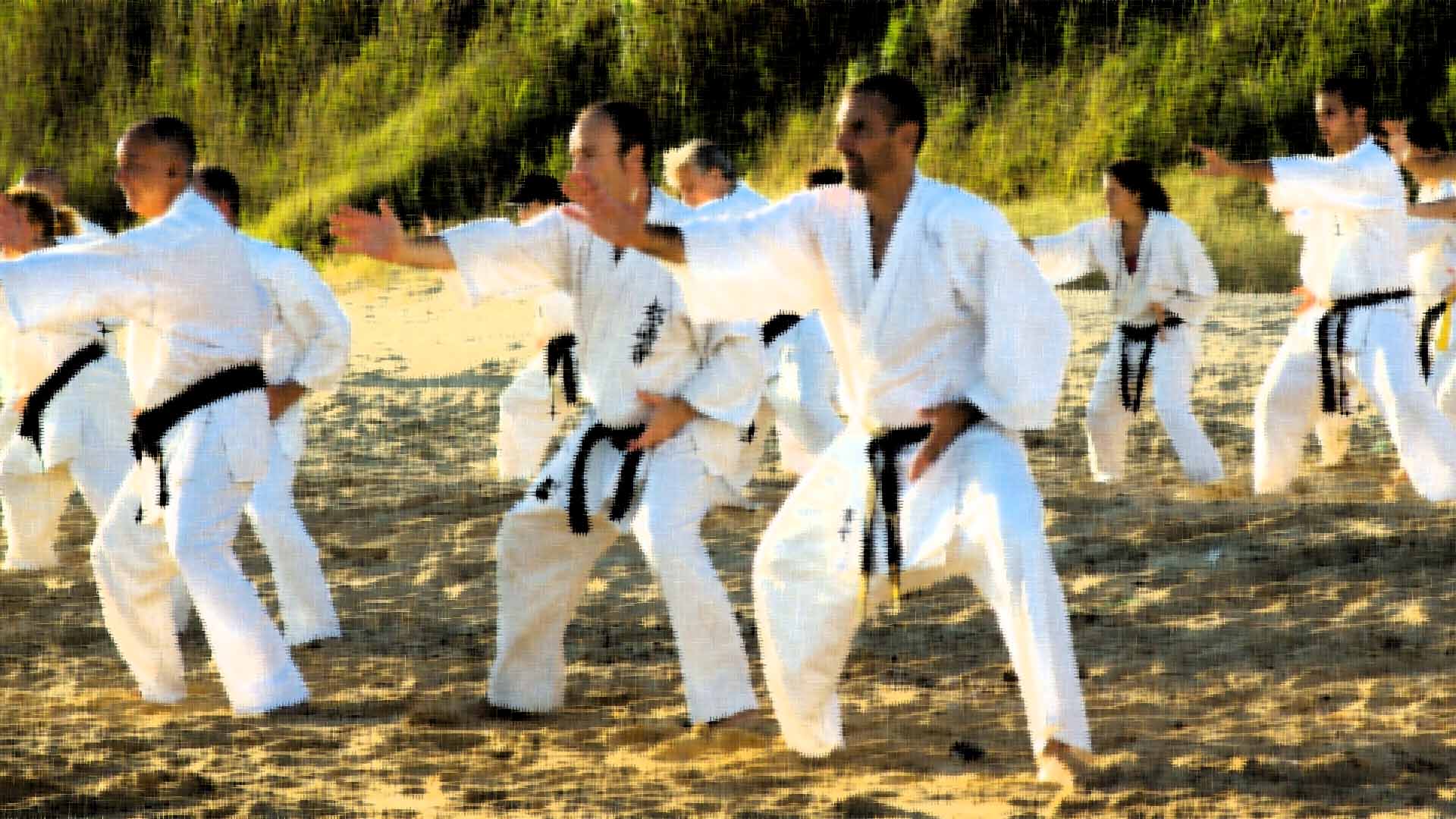 XXIII American International Karate Championships