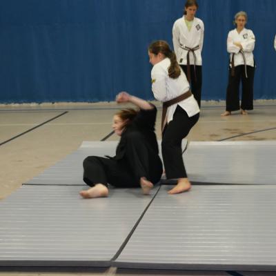 2015 Brown Belt Testing 18
