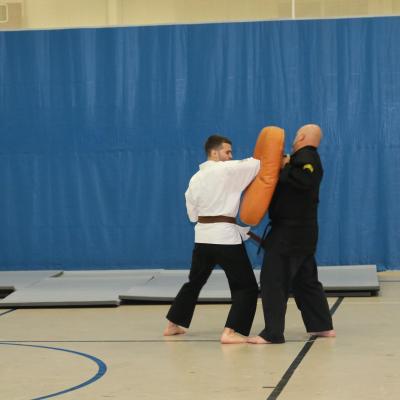 2015 Brown Belt Testing 9